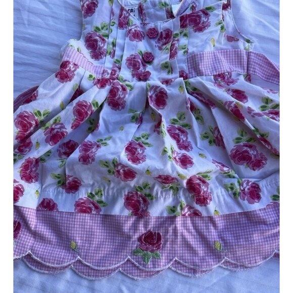 Vintage Blueberi Boulevard Girls Sz 12 Months Floral Dress Pink Red Rose - Picture 3 of 16